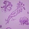 Wall roller Mandragora
