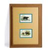 Picture of a hippo and a rhinoceros