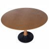 Dřevotvar Dining Table