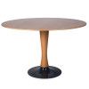 Dřevotvar Dining Table